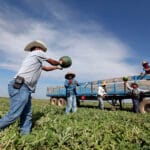 Apoyo financiero para migrantes en zonas rurales