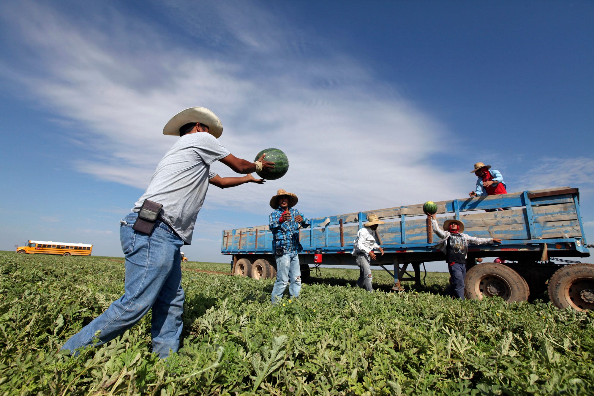 Apoyo financiero para migrantes en zonas rurales