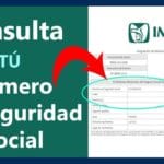 Cómo renovar el número de la Seguridad Social