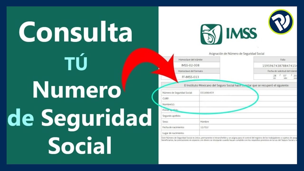 Cómo renovar el número de la Seguridad Social
