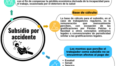 guia para obtener subsidios por incapacidad