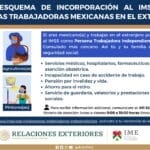 Guía para renovar tu afiliación a la Seguridad Social