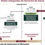 Pasos para obtener servicios de salud especializados