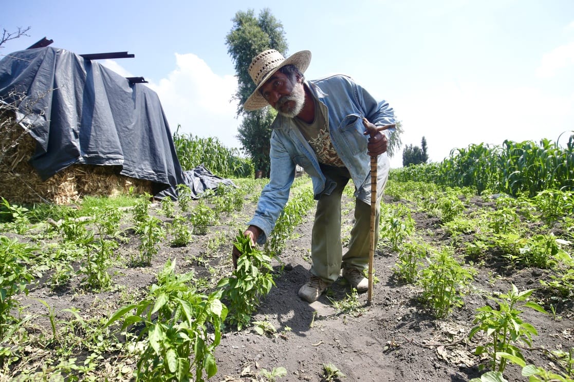 Seguridad Social para trabajadores del campo