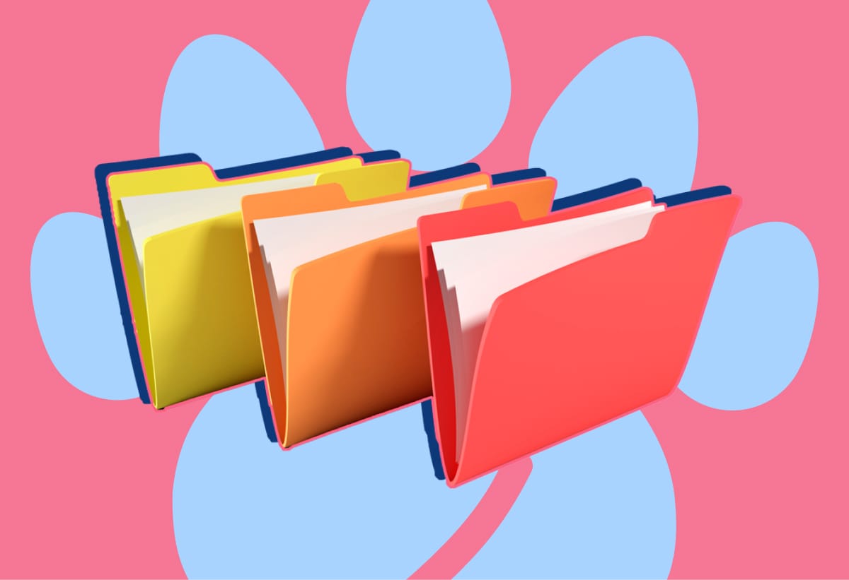 Trámites básicos para obtener documentos oficiales